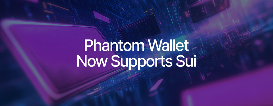 SUI是什么？一次看懂资本的MOVE语言新宠